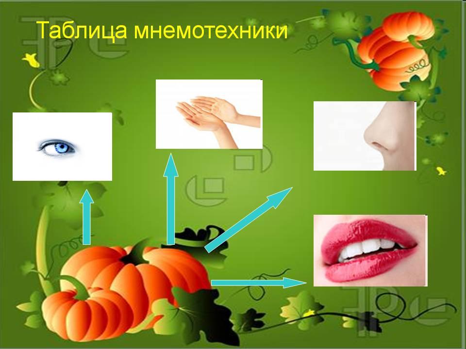 Проект "Тыковка" 1-младшая группа